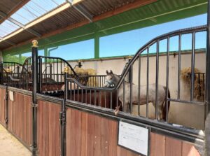 Vaste windschermen aan bovenkant paardenstal ter bescherming tegen wind en tocht